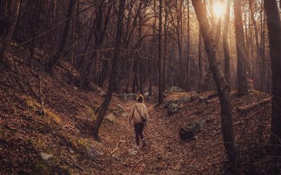 Can Walking in the Park Make You Smarter?